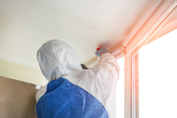 Auburn, WA Mold Removal Company