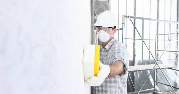  Auburn, WA Mold Removal Pros