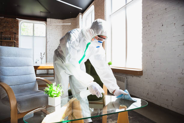 Why You Should Choose Our Mold Remediation Services in Auburn, WA