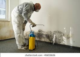 Best Mold Prevention Services in Auburn, WA